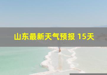 山东最新天气预报 15天